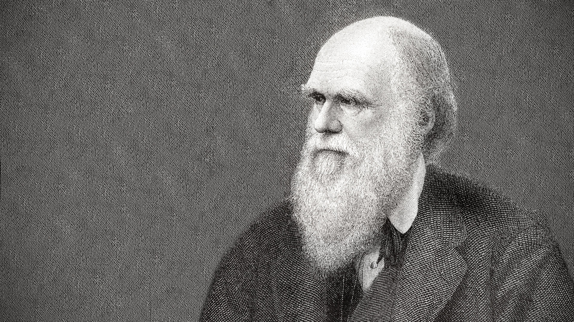 charles darwin biography poster