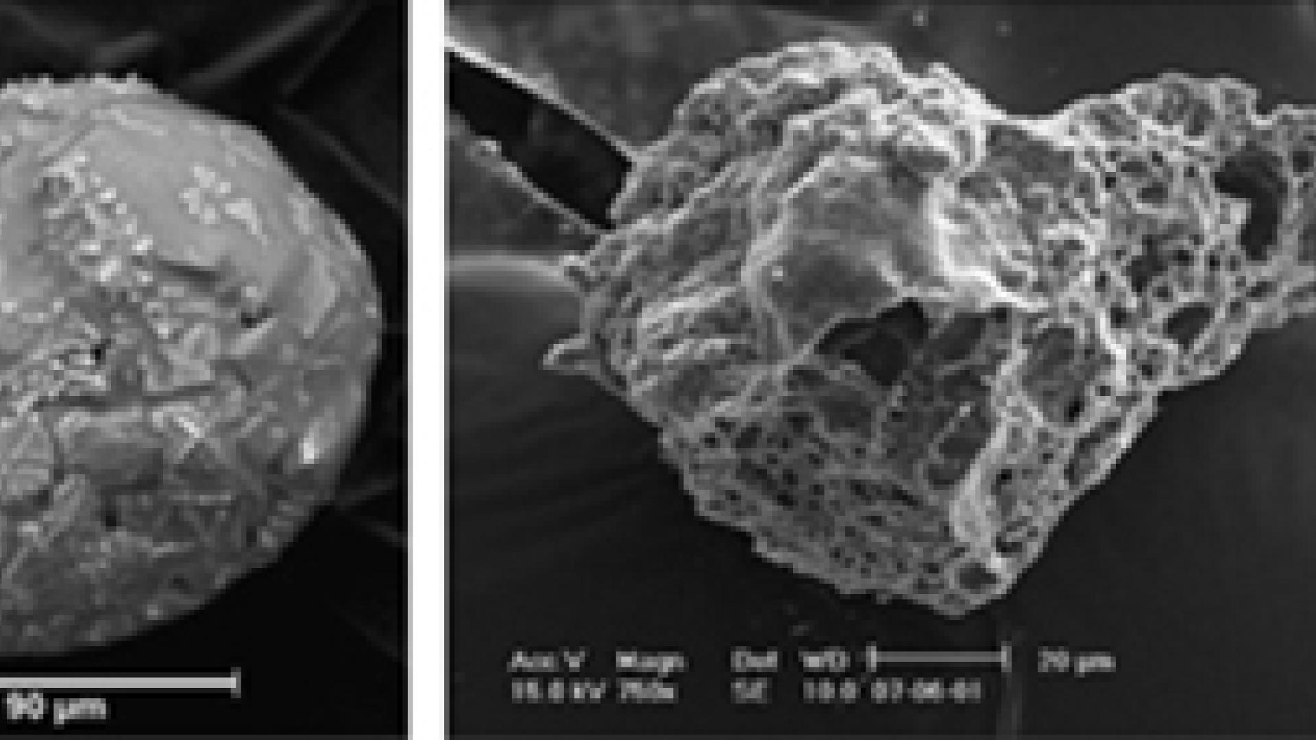 Four examples of cosmic dust that falls to Earth